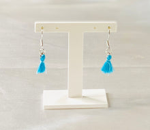 Load image into Gallery viewer, Mini Tassels
